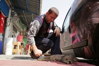 「猫が教えてくれたこと」