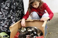 「猫が教えてくれたこと」