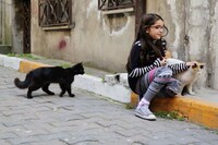 「猫が教えてくれたこと」