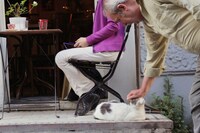 「猫が教えてくれたこと」