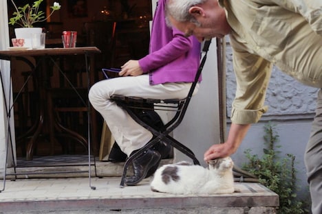 「猫が教えてくれたこと」新場面写真