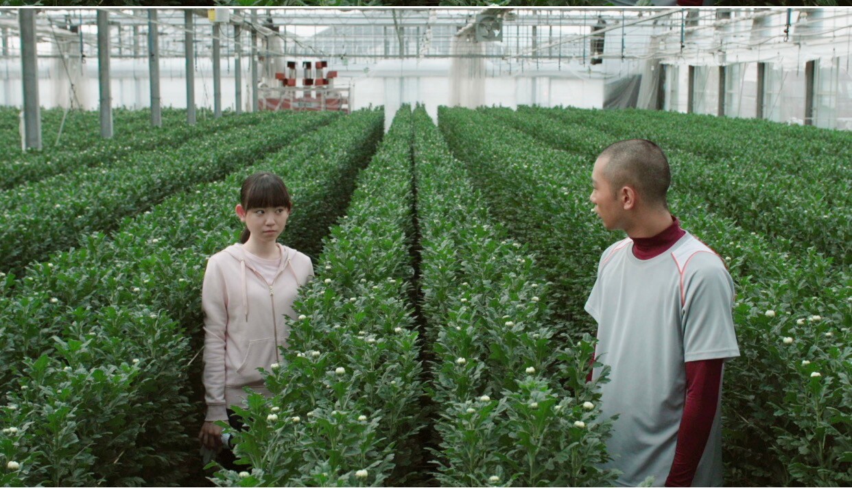 実話もとにした「野球部員、演劇の舞台に立つ！」公開、渡辺佑太朗や林遣都が出演