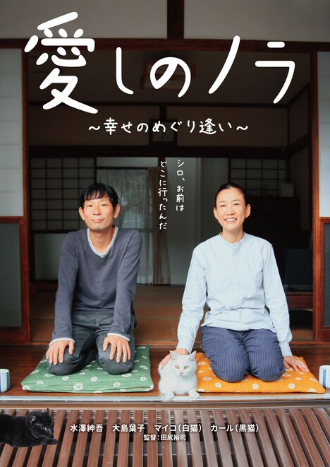 「愛しのノラ～幸せのめぐり逢い～」ポスタービジュアル