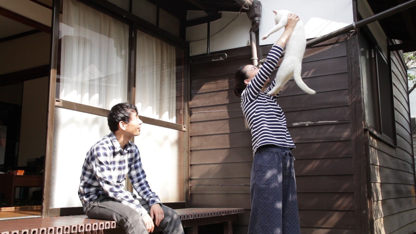 「愛しのノラ～幸せのめぐり逢い～」