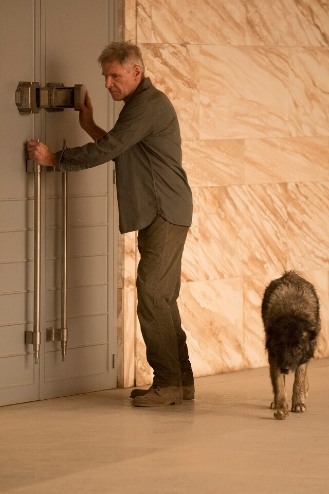 「ブレードランナー 2049」