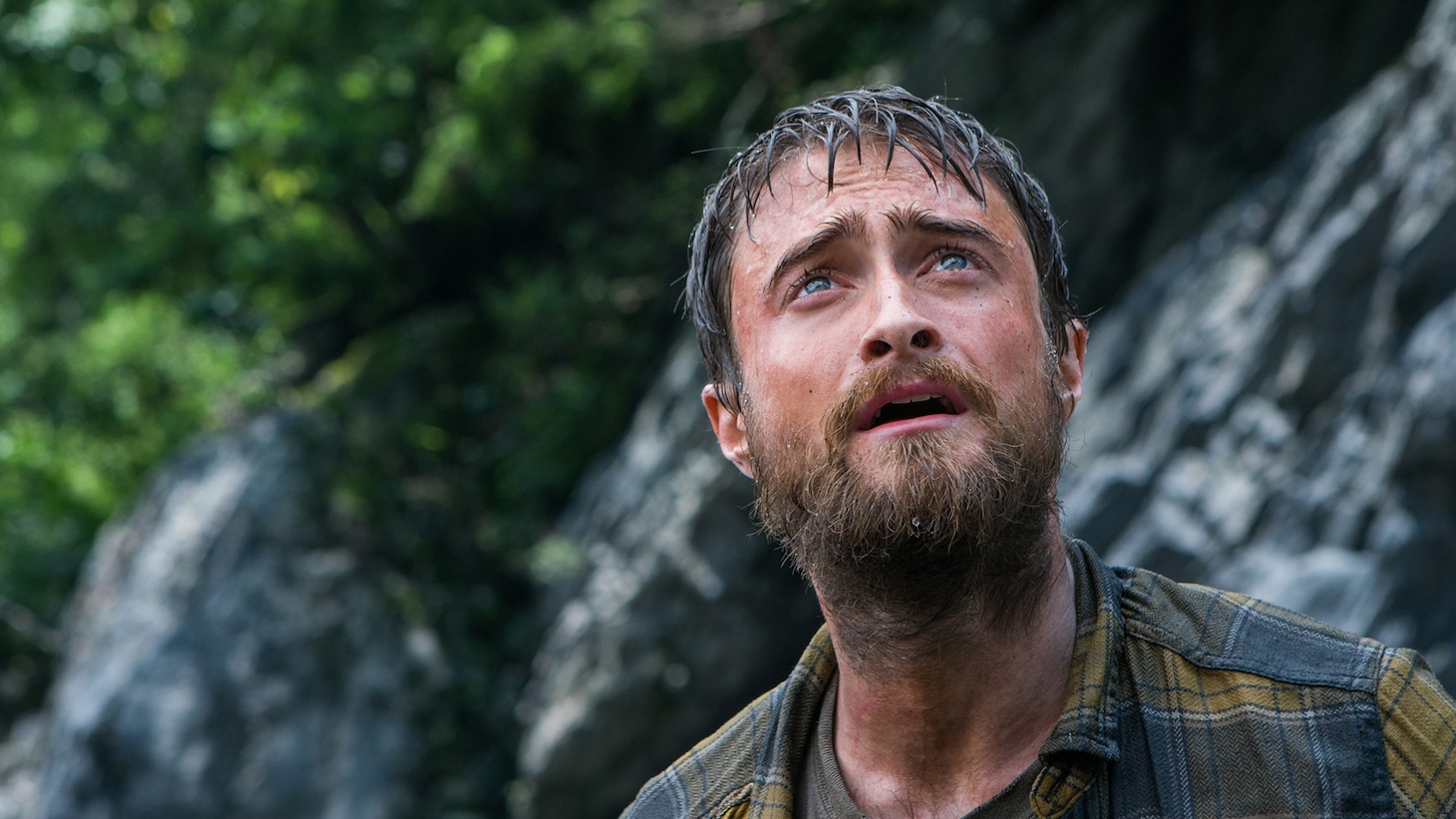 「ジャングル ギンズバーグ19日間の軌跡」 (c)2017 JUNGLE HOLDINGS PTY LTD, SCREEN AUSTRALIA, SCREEN QUEENSLAND PTY LTD AND FILMFEST LTD.
