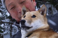 「シバ 縄文犬のゆめ」