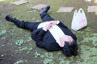 「愛しのノラ～幸せのめぐり逢い～」