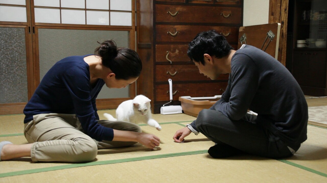 「愛しのノラ～幸せのめぐり逢い～」