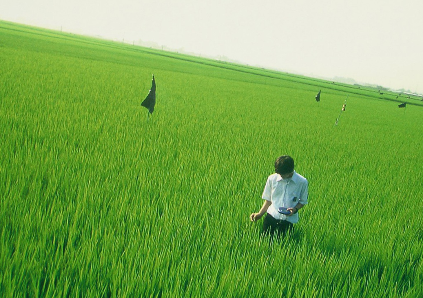 「リリイ・シュシュのすべて」 (c)2001 LILY CHOU-CHOU PARTNERS
