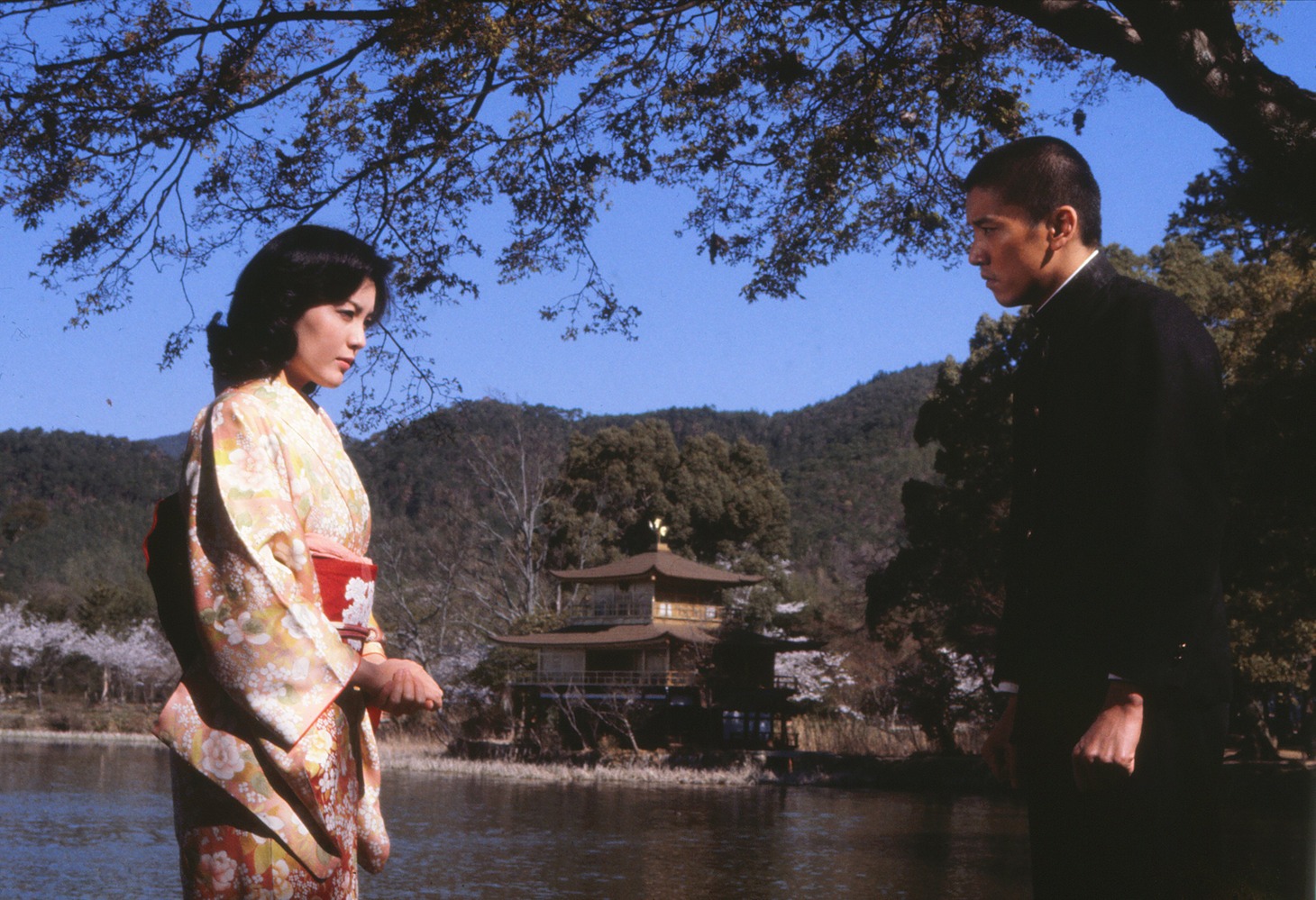 「五番町夕霧楼（1980年）」 (c)1980松竹株式会社