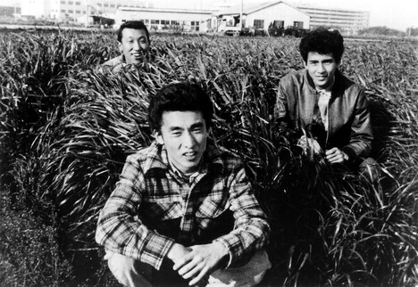 「ライブイン茅ヶ崎」