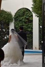 左から土屋太鳳、佐藤健。