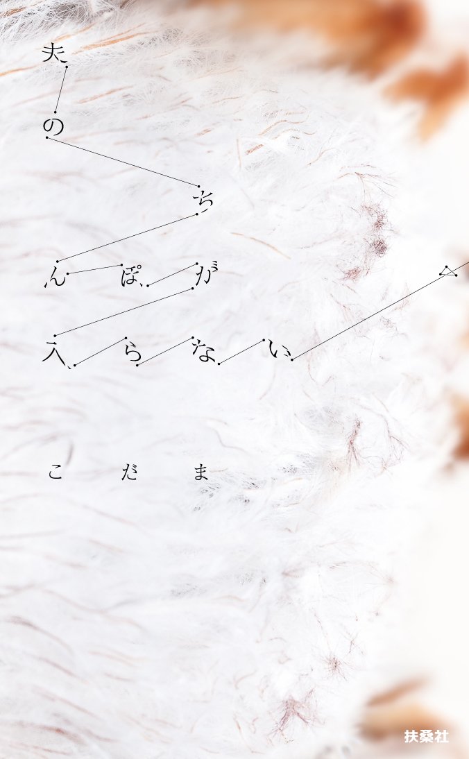 「夫のちんぽが入らない」書影