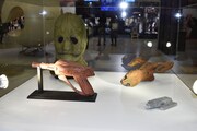 「宇宙の7人」の展示。