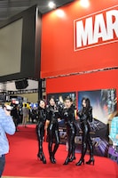 「ブラックパンサー」エリアの様子。