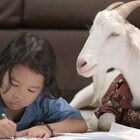 在日フィリピン人支援団体Angat主催の上映イベントが下北沢トリウッドで