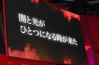 「スター・ウォーズ／最後のジェダイ」レッドカーペットイベントの様子。