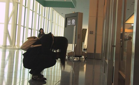 「恋とボルバキア」