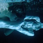 イエジー・スコリモフスキ「早春」デジタルリマスター版が1月13日に公開