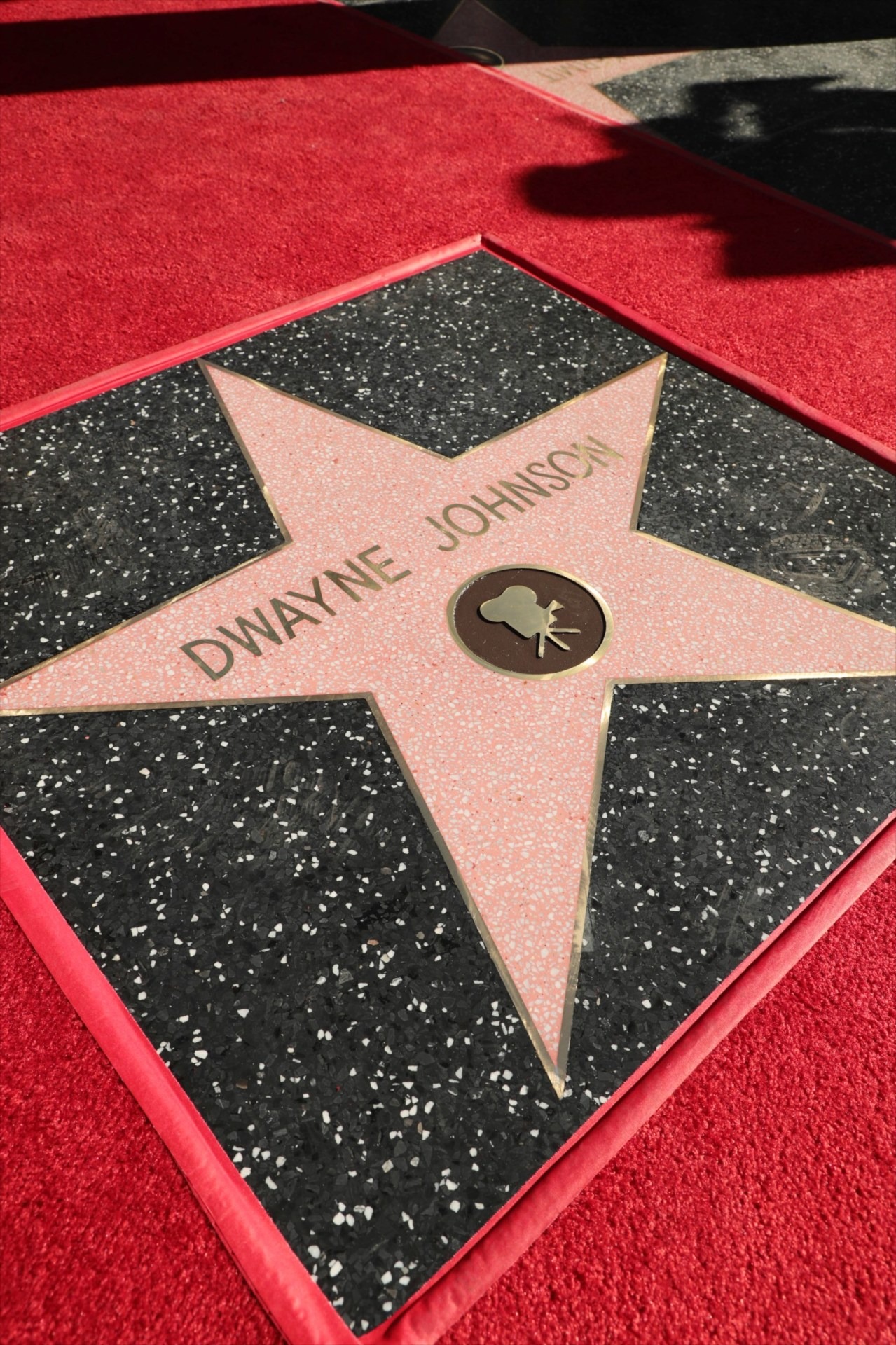 ドウェイン・ジョンソンの名前が刻まれたプレート。