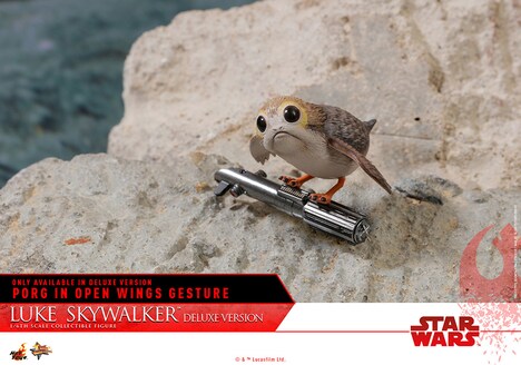 ボーナスアクセサリー付きの限定版に付属するポーグ。