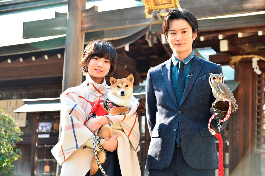 「伊藤くん」岡田将生＆木村文乃が干支にちなんだ動物と対面、2018年の飛躍誓う