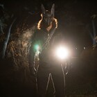 実話をもとにカルト集団に追い詰められる家族描いたホラー「ジャッカルズ」予告編
