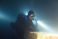 「ネイビーシールズ ナチスの金塊を奪還せよ！」