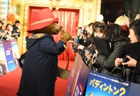 ファンとの交流を楽しむパディントン。