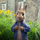 「ピーターラビット」5月公開、ピーターが自然の中で跳びはねる特報到着