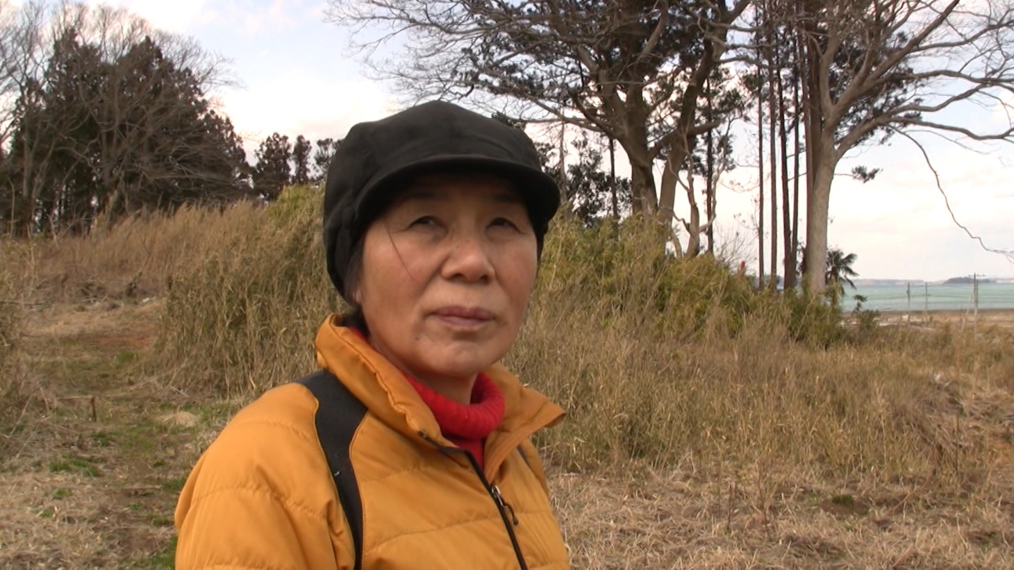 「願いと揺らぎ」
