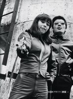 「野獣を消せ」