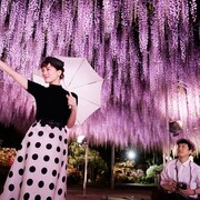 足利市で「第3回あしかが映像まつり」開催、「今夜、ロマンス劇場で」ロケ地ツアーも