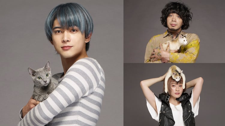 吉沢亮が猫役 犬童一心 沢尻エリカ 猫は抱くもの に峯田和伸 コムアイも出演 コメントあり 映画ナタリー