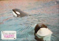 「テンタクルズ」 (c)1977 A. ESSE CINEMATOGRAFICA