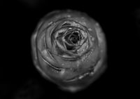 「スティルライフオブメモリーズ」ビジュアル