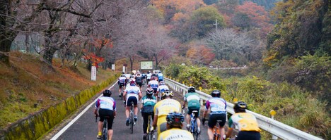 「神さまの轍 -checkpoint of the life-」