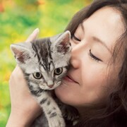 ニャンてかわいい!猫映画の特集で「グーグーだって猫である」「綿の国星」など7本