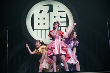 チームしゃちほこ「鯱詣2018」愛知・日本特殊陶業市民会館 フォレストホール公演の様子。（Photo by HIROKAZU）