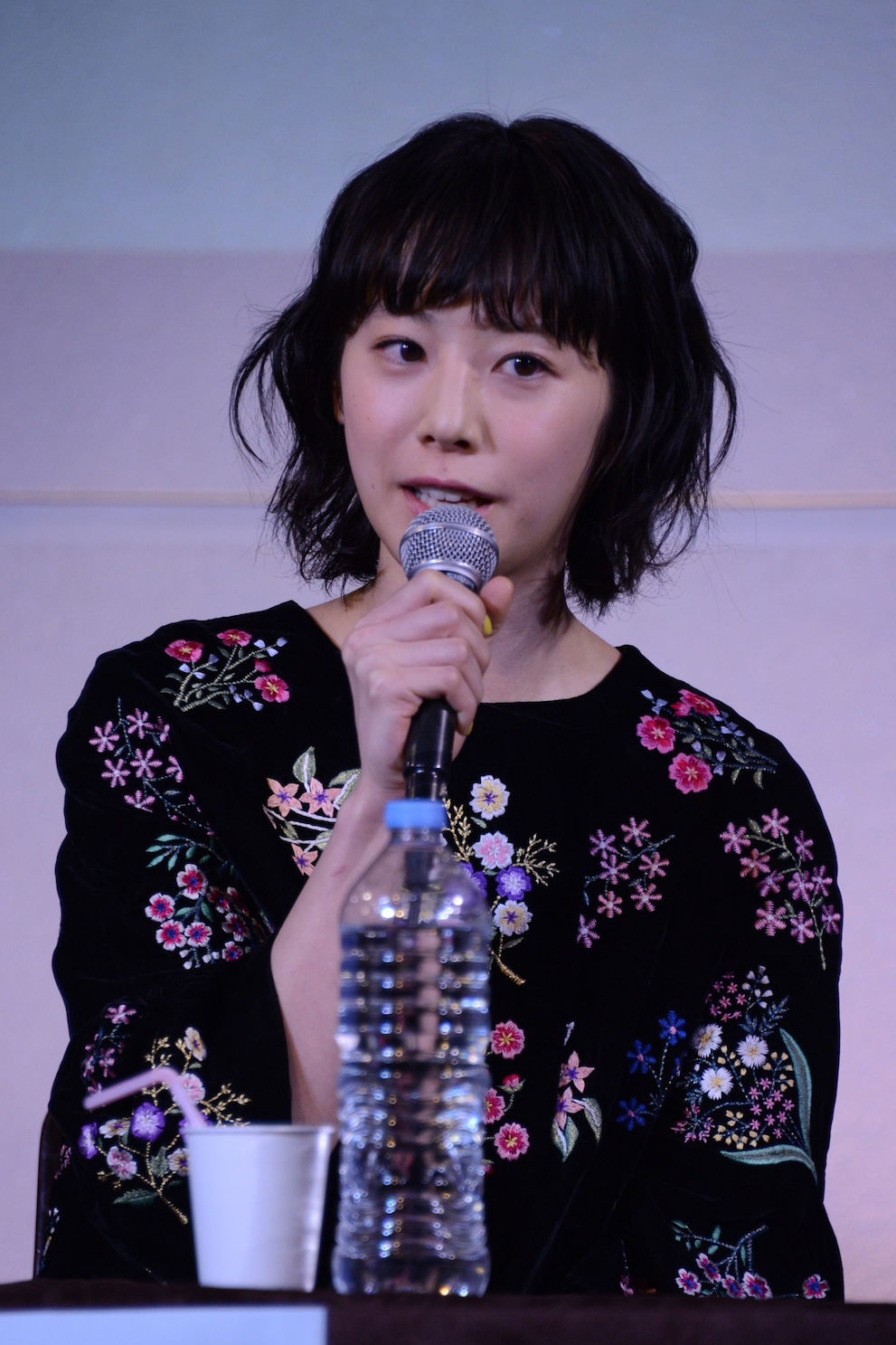 夏帆