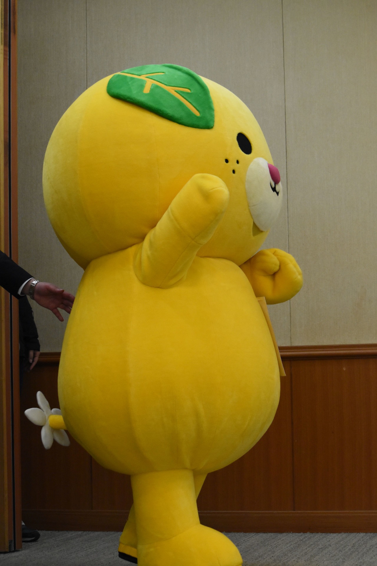 みきゃん
