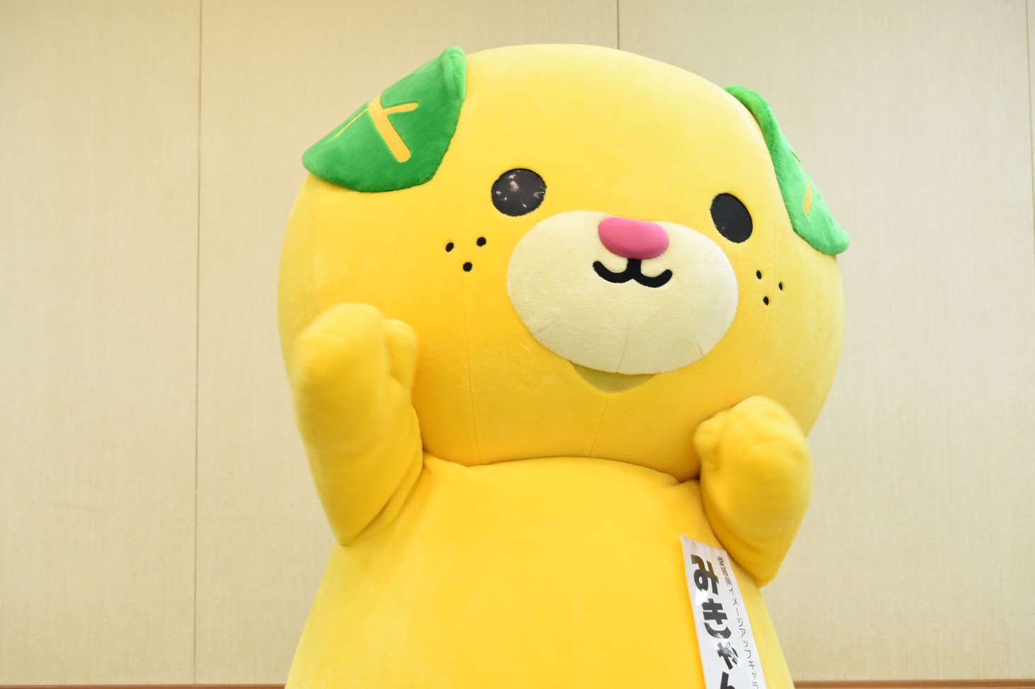 みきゃん