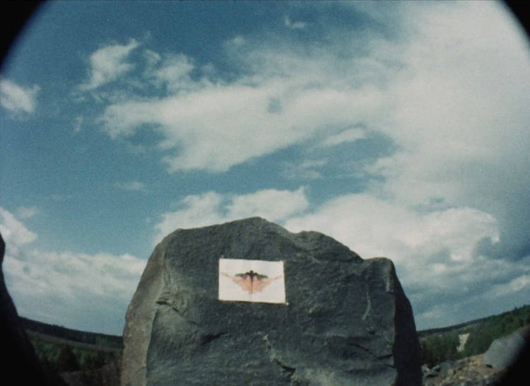 アニメーション作家 相原信洋の作品70本を紹介する特集開催 土居伸彰らのトークも 映画ナタリー