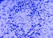 「MEMORY OF CLOUD」