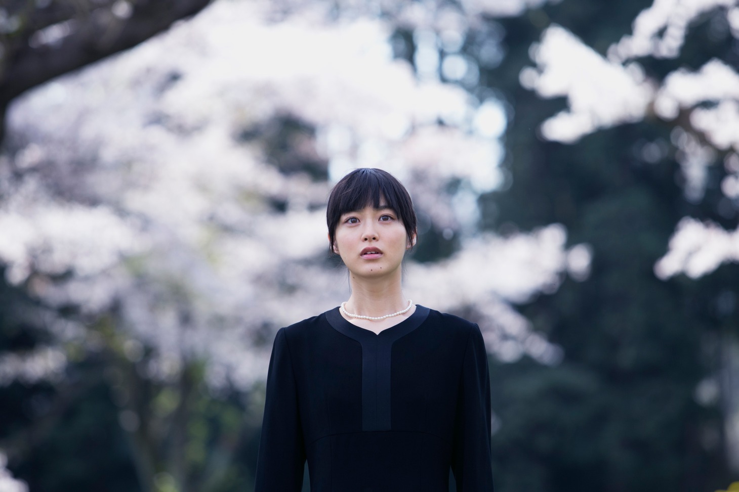 「四月の永い夢」