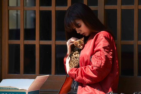 「チェリーボーイズ」新場面写真