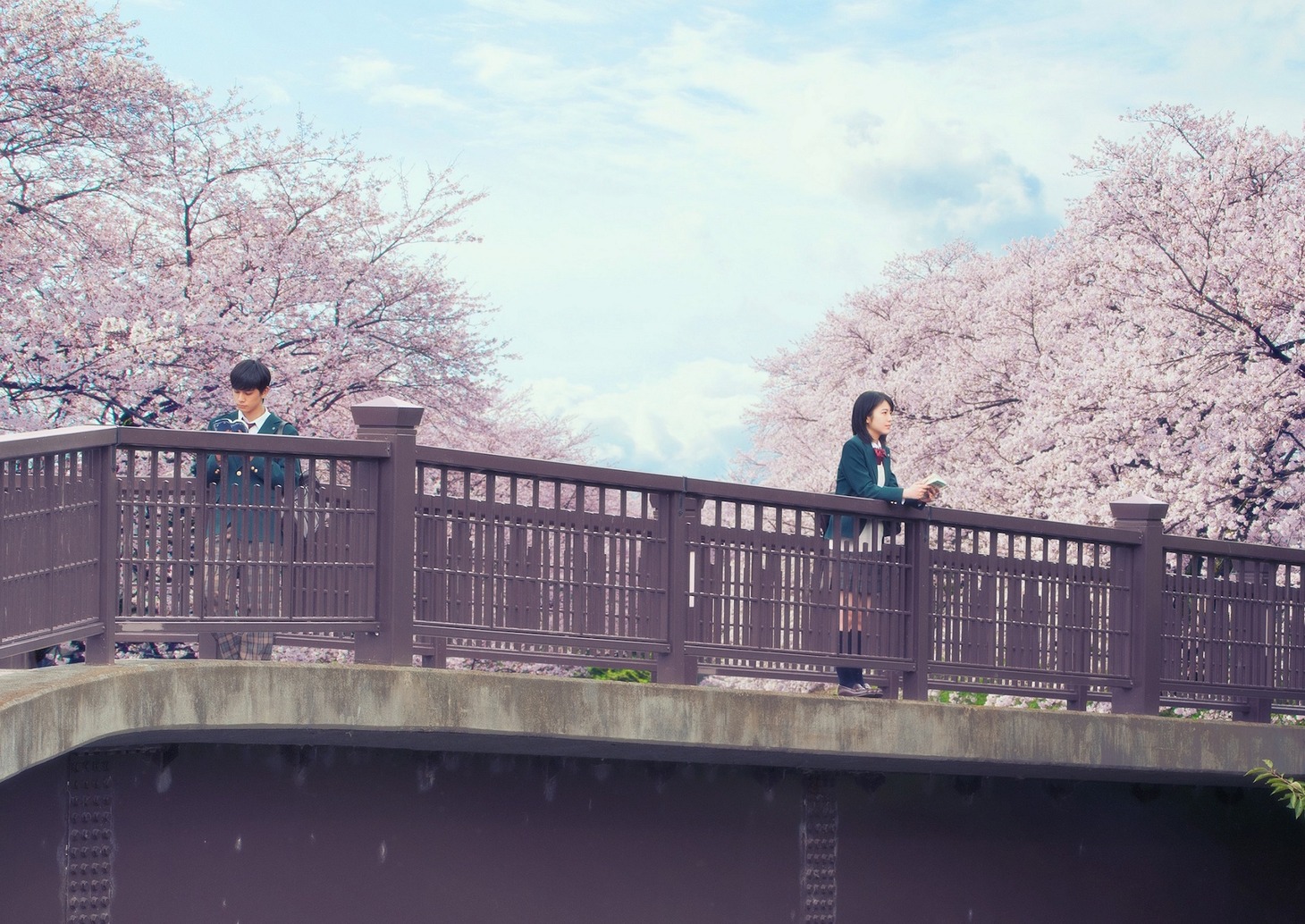 「君の膵臓をたべたい」ビジュアル (c)2017「君の膵臓をたべたい」製作委員会 (c)住野よる/双葉社