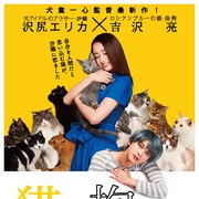 沢尻エリカ×吉沢亮「猫は抱くもの」猫だらけのティザーポスター到着