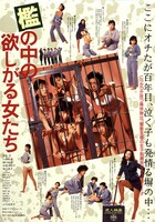 「檻の中の欲しがる女たち」ビジュアル